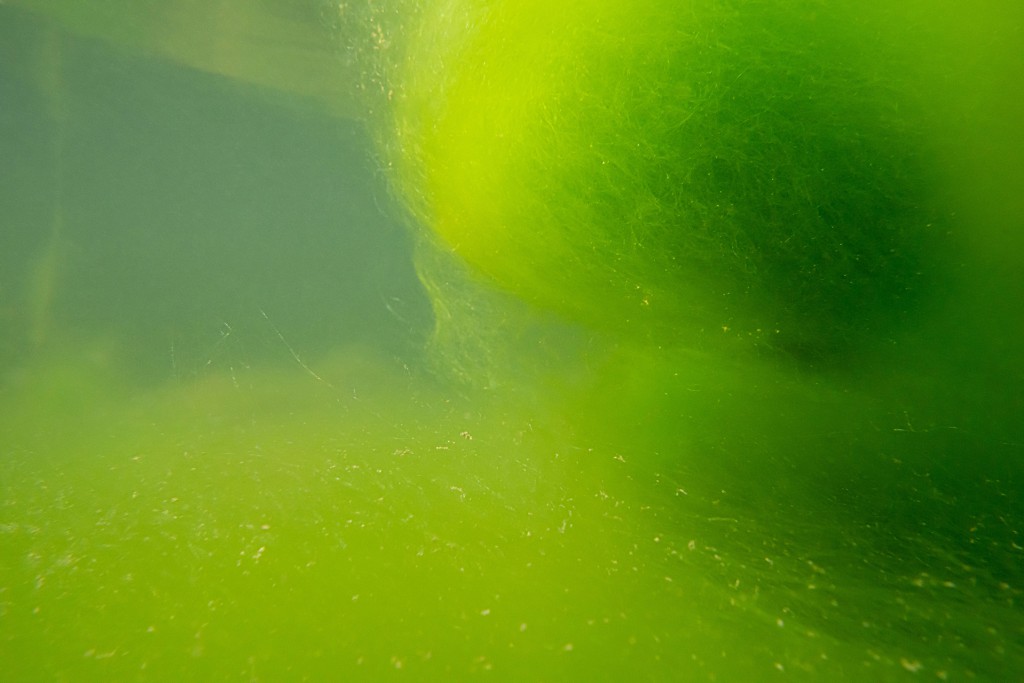 Unter Wasser, Hans-Christian Schink