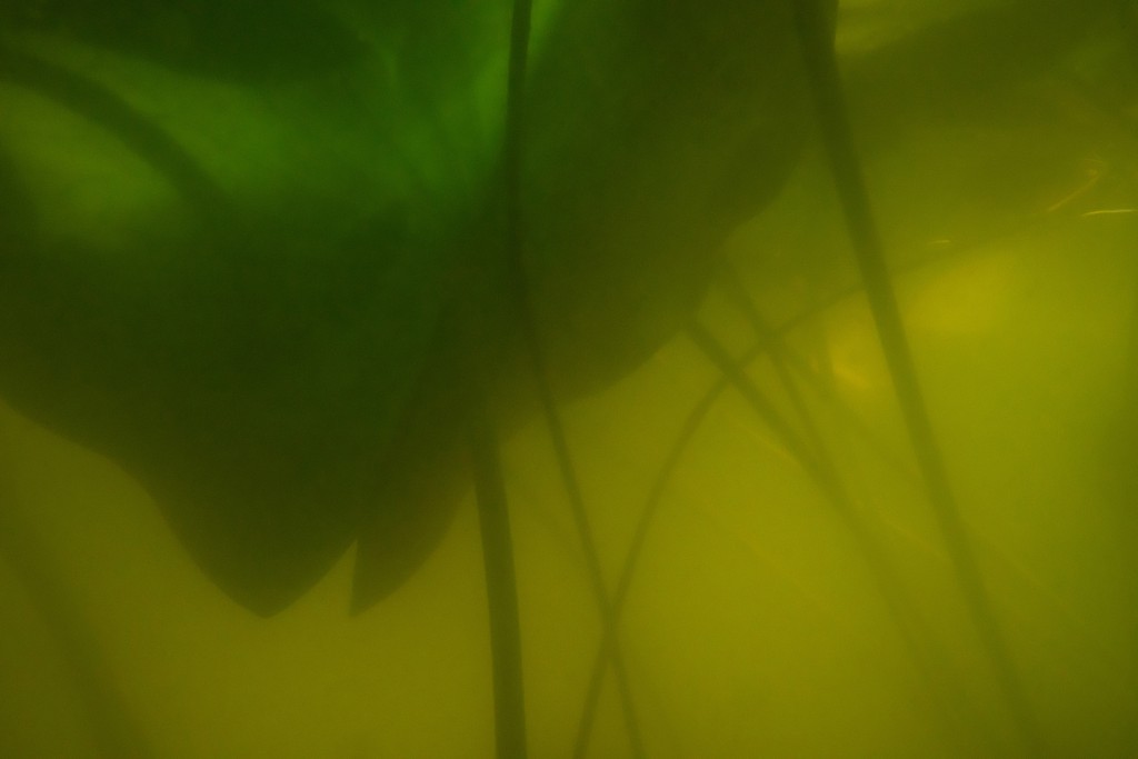 Unter Wasser, Hans-Christian Schink