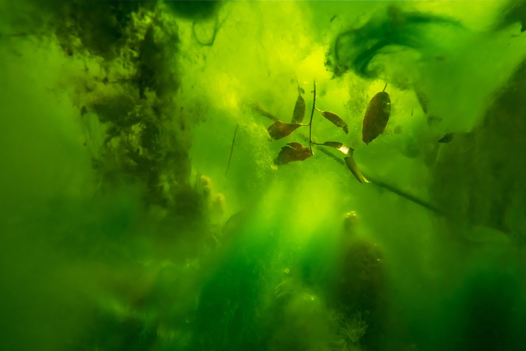 Unter Wasser, Hans-Christian Schink