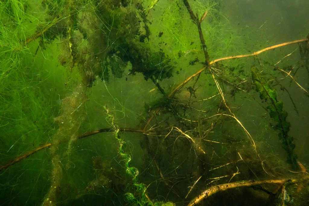 Unter Wasser, Hans-Christian Schink