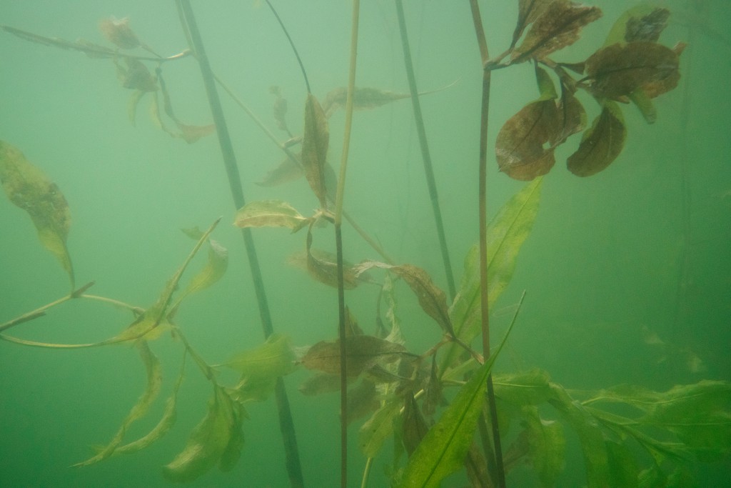 Unter Wasser von Hans-Christian Schink