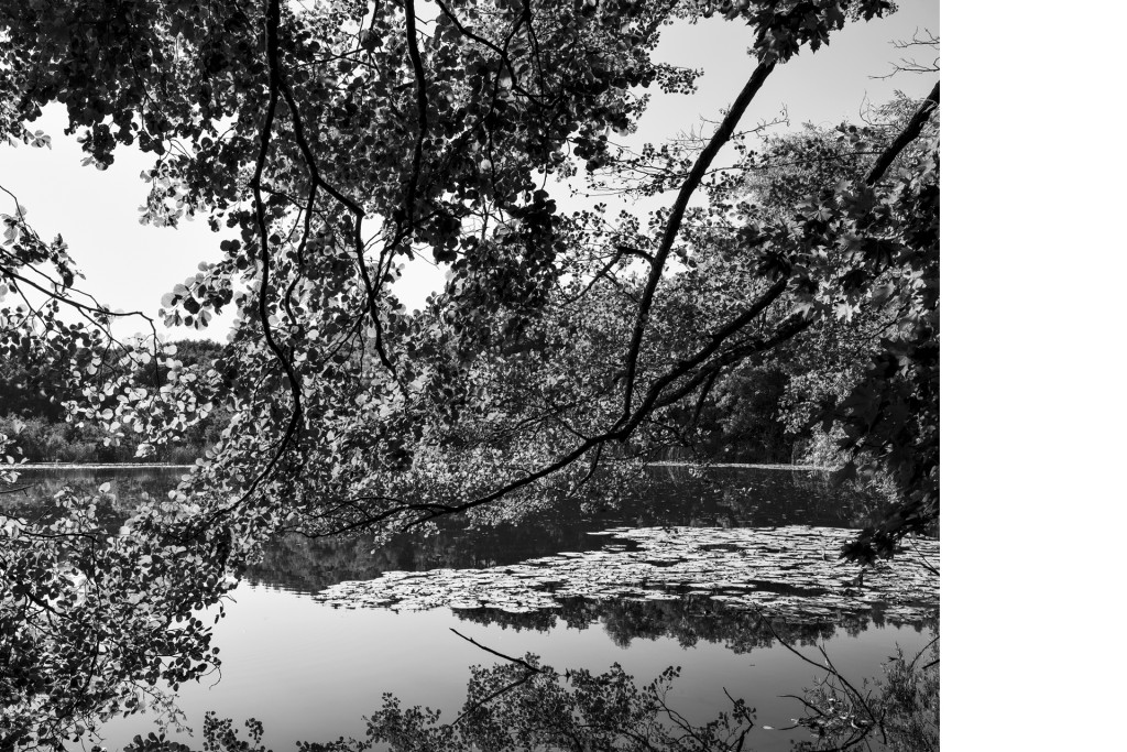 Kleiner See bei Wrechen, Projekt 