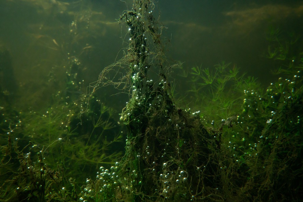 Unter Wasser, Hans-Christian Schink