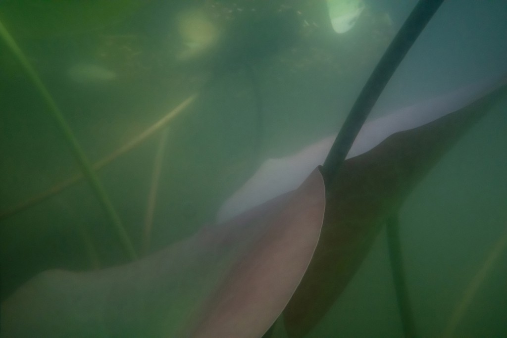 Unter Wasser, Hans-Christian Schink