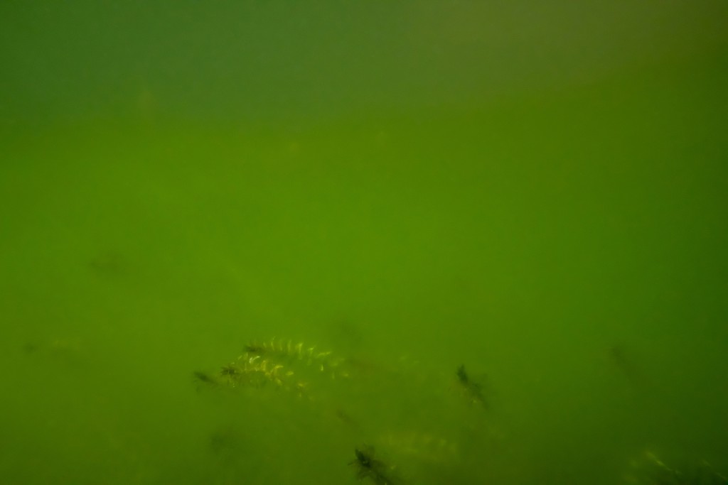 Unter Wasser, Hans-Christian Schink